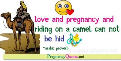 Camel quote #1