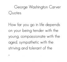 Carver quote #2