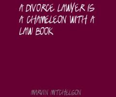 Chameleon quote #3