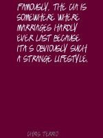 Chris Terrio's quote