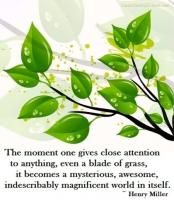 Close Attention quote #2