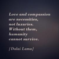 Compassionate quote #2