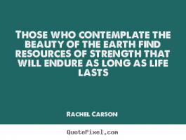 Contemplate quote #2