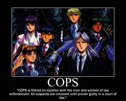 Cops quote #3