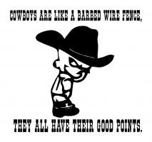 Cowboy quote #4