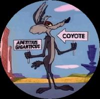 Coyote quote #1