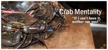 Crab quote #1