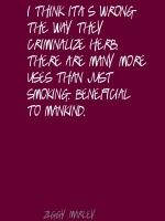 Criminalize quote #2