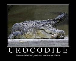 Crocodile quote #1