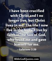 Crucified quote #3