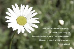 Daisy quote #2