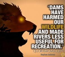 Dams quote #1