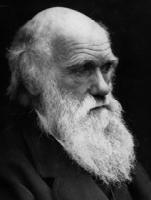 Darwinian Theory quote #2