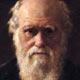 Darwinian Theory quote #2