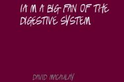 David Macaulay's quote #3