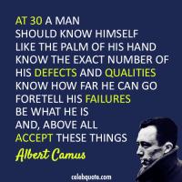Defects quote #4
