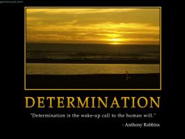 Determination quote #2