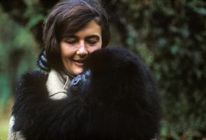 Dian Fossey's quote #6