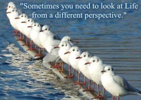 Different Perspective quote #2