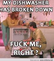 Dishwasher quote #2