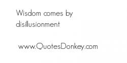 Disillusionment quote #2