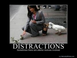 Distractions quote #2