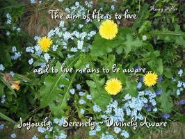 Divinely quote #1