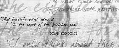 Domenico Dolce's quote