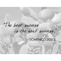 Domenico Dolce's quote #7