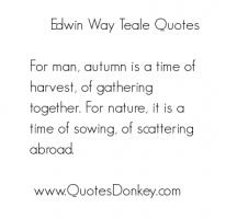 Edwin Way Teale's quote #3