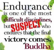 Endures quote #2