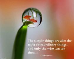 Extraordinary Thing quote #2