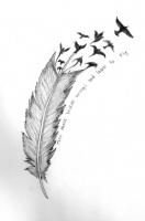 Feather quote #4