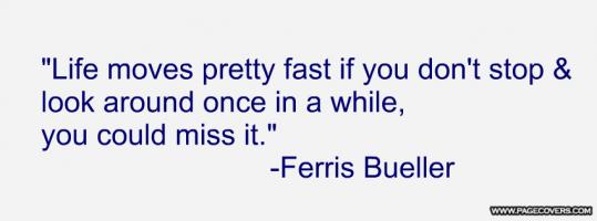 Ferris quote #2