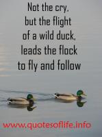 Flock quote #1
