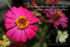 Flowery quote #1