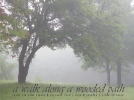 Foggy quote #1