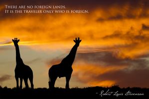 Foreign Lands quote #2