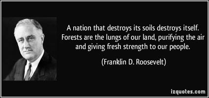 Forests quote #2