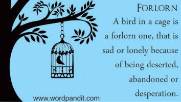 Forlorn quote #1
