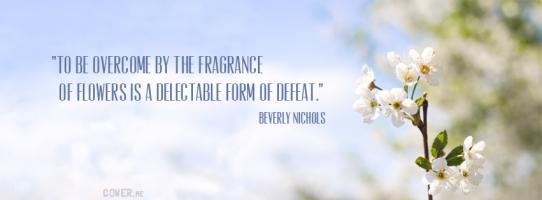 Fragrance quote #3