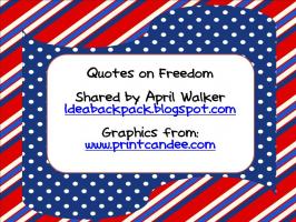 Freedom Means quote #2