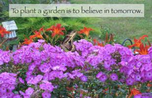 Gardeners quote #2