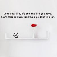 Goldfish quote #1