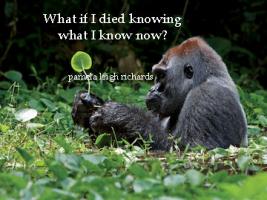 Gorilla quote #1