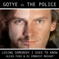 Gotye's quote #5