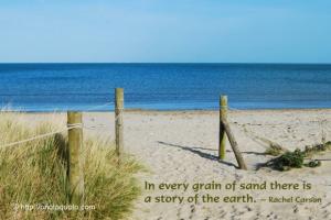 Grain Of Sand quote #2
