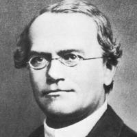 Gregor Mendel's quote #1