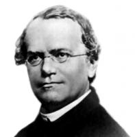 Gregor Mendel's quote #1