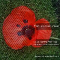 Grounding quote #1